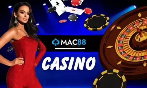 Reddybook online casino roulette and card games